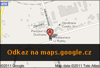 googleMap